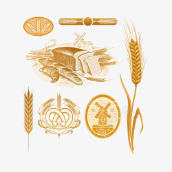 小麦稻谷粗粮素材