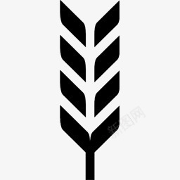 小麦名项目图标png_新图网 https://ixintu.com Wheat 小麦