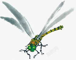昆虫水墨水墨画蜻蜓高清图片