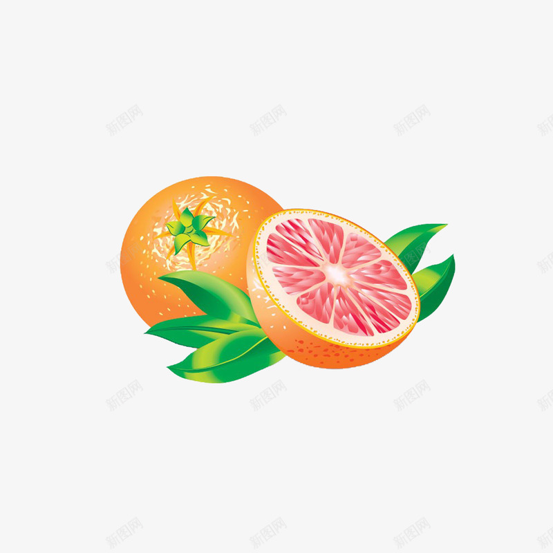 香橙及果肉png免抠素材_新图网 https://ixintu.com 叶子 橘黄色 橙子 香橙