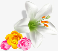 手绘白色花朵服饰装饰素材