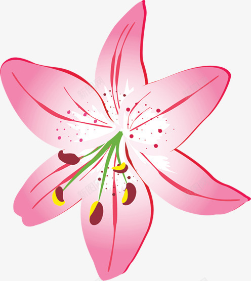 粉色温馨节日花朵植物手绘png免抠素材_新图网 https://ixintu.com 植物 温馨 粉色 节日 花朵