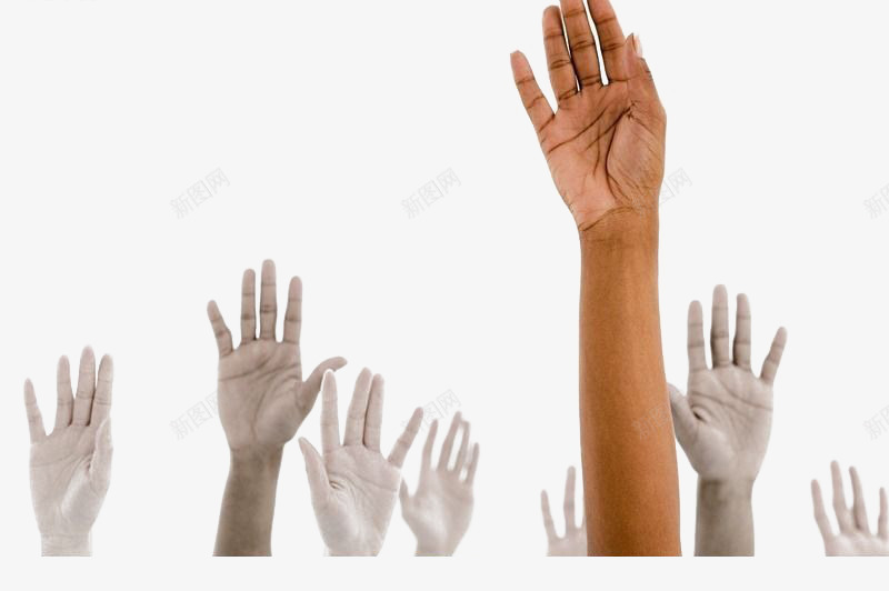 大家一起举起手来png免抠素材_新图网 https://ixintu.com 举手 实拍 手掌 手臂 高举手臂