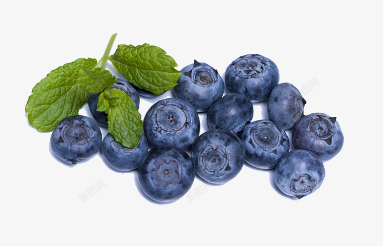镜头前的特写蓝莓png免抠素材_新图网 https://ixintu.com 健康 有机 特写 甜美 蓝莓
