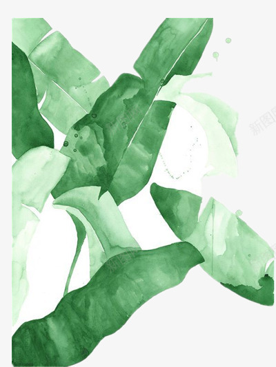 绿叶png免抠素材_新图网 https://ixintu.com 水墨画 绿色 绿色水粉装饰画