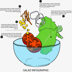 膳食结构蔬菜沙拉信息图表高清图片