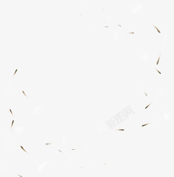 漂浮种子漂浮白色蒲公英高清图片