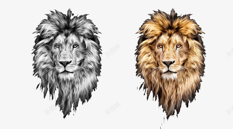 两个手绘狮子头png免抠素材_新图网 https://ixintu.com 免费 免费素材 大头 狮子 黄色