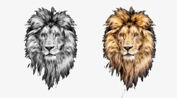 两个手绘狮子头素材