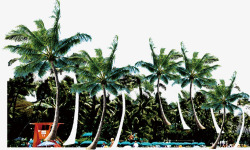椰树沙滩背景素材