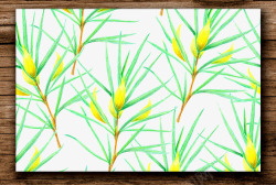 手绘植物图案边框素材