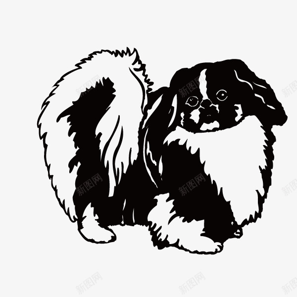 可爱的黑白色狮子狗图标png_新图网 https://ixintu.com 动物 卡通 可爱的 填色练习 手绘图 长毛 黑白色狮子狗