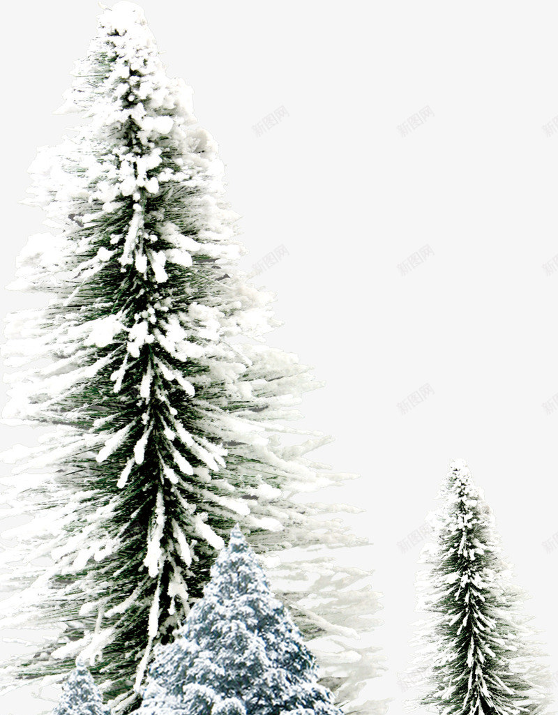 挂着积雪的绿色松树png免抠素材_新图网 https://ixintu.com 松树 积雪 绿色