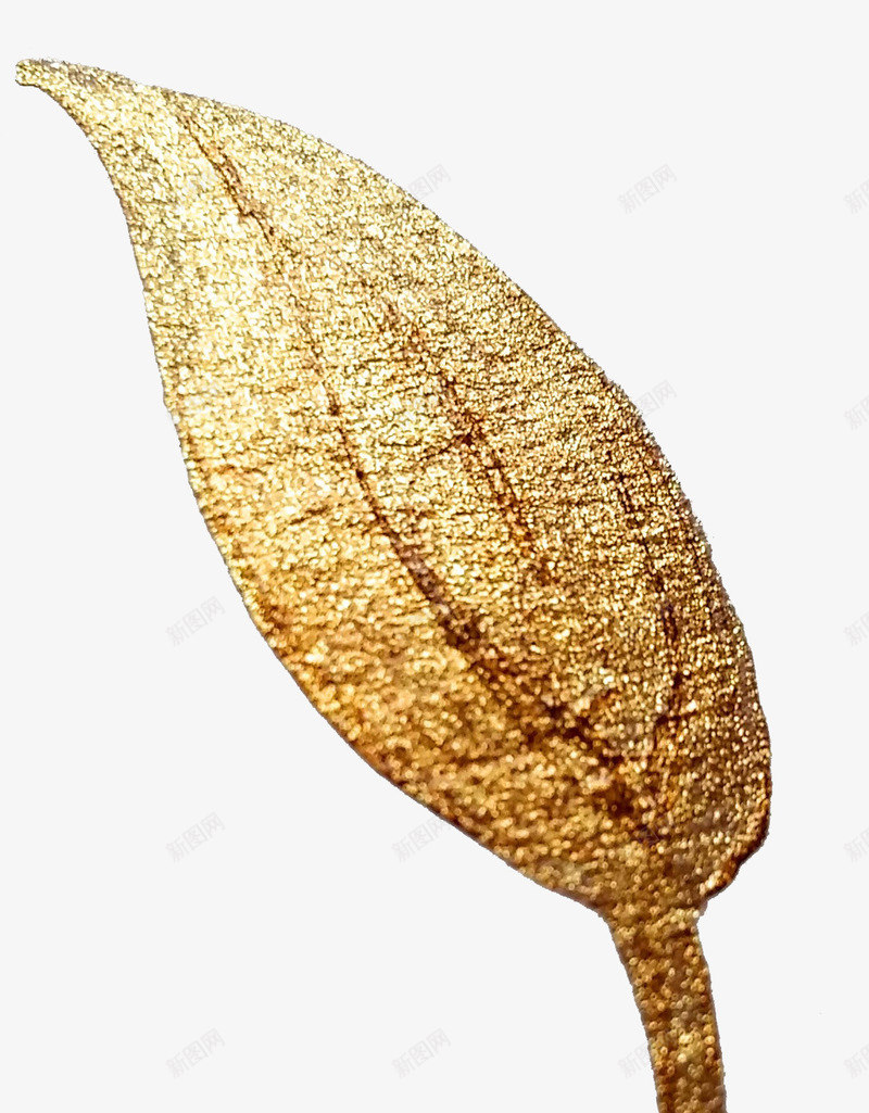 金色树叶png免抠素材_新图网 https://ixintu.com 叶子 树叶 植物 金箔水彩混合
