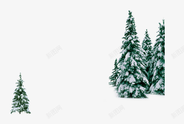 圣诞节松树png免抠素材_新图网 https://ixintu.com 圣诞节 松树 装饰 设计素材 雪