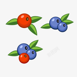 植物水果蓝莓矢量图素材