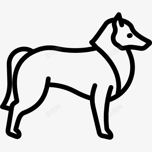 牧羊犬图标png_新图网 https://ixintu.com 动物 品种 宠物 狗