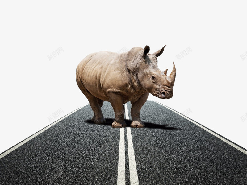 概念图站在公路上的犀牛png免抠素材_新图网 https://ixintu.com 公路和犀牛 决策力 力量感 概念图 概念犀牛 犀牛角 站在公路上的犀牛
