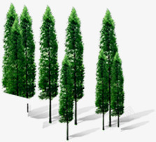 创意摄影合成效果绿色松树素材