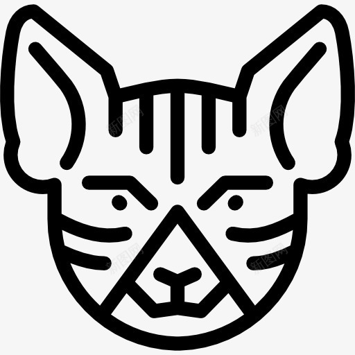 明斯基的猫图标png_新图网 https://ixintu.com 动物 国内品种 宠物 明斯基的猫 猫