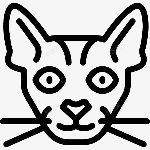 chausie猫图标png_新图网 https://ixintu.com chausie猫 凯蒂 动物 品种 国内 宠物 猫