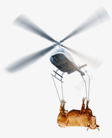 直升机吊奶牛卡通电商素材