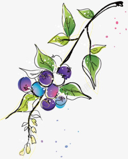 蓝莓插画矢量图素材