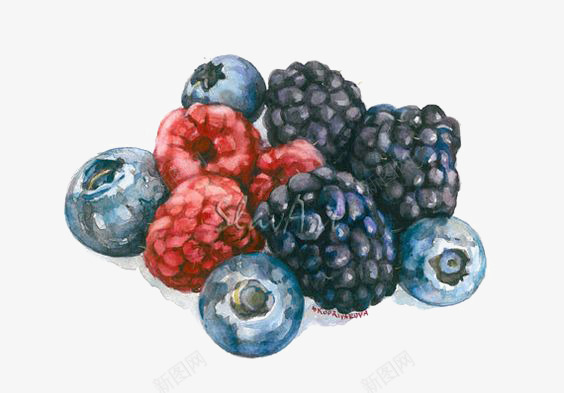 水彩水果png免抠素材_新图网 https://ixintu.com 创意水果 成熟的水果 桑葚 水果插画 蓝莓