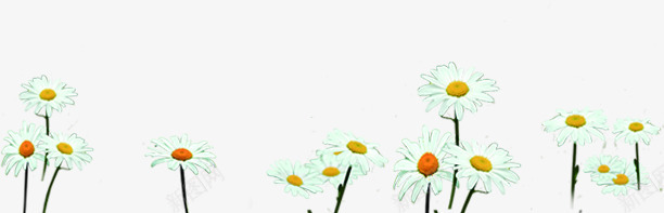 春天白色雏菊服饰装饰png免抠素材_新图网 https://ixintu.com 春天 服饰 白色 装饰
