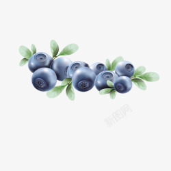 蓝莓果实图素材