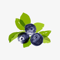 手绘水彩蓝莓矢量图素材