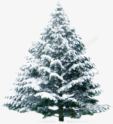 创意合成效果圣诞树松树png免抠素材_新图网 https://ixintu.com 创意 合成 圣诞树 效果 松树