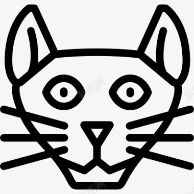 阿比西尼亚猫图标图标