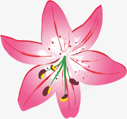 粉色温馨母亲节花朵素材