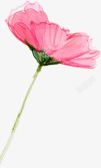 粉色温馨花朵手绘素材
