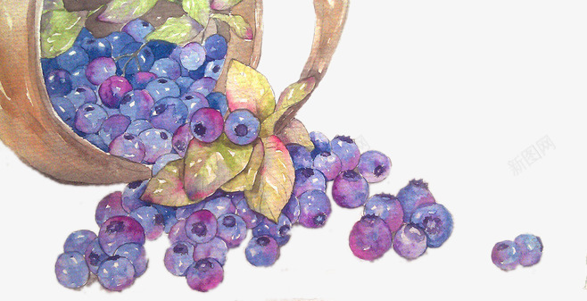 手绘竹篮中的蓝莓png免抠素材_新图网 https://ixintu.com 手绘水果 手绘蓝莓 竹篮 蓝莓