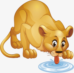 雌性狮子河边喝水的狮子高清图片