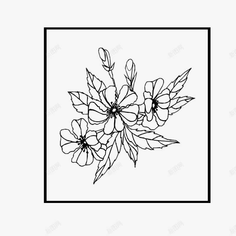 边框里的三朵花png免抠素材_新图网 https://ixintu.com 三朵 卡通 手绘 简图 线条 花朵 边框 黑色的