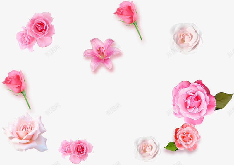 粉色浪漫温馨花朵手绘png免抠素材_新图网 https://ixintu.com 浪漫 温馨 粉色 花朵