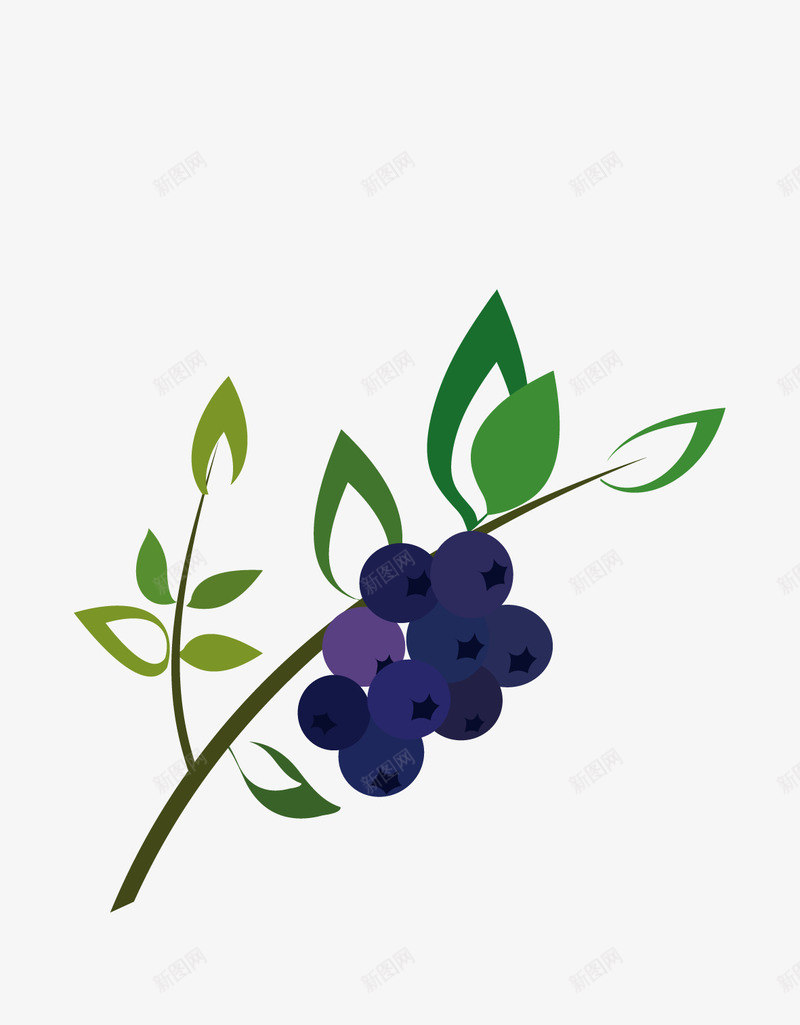 蓝莓植物图图标png_新图网 https://ixintu.com 图标 时尚 树叶 植物 简约 蓝莓