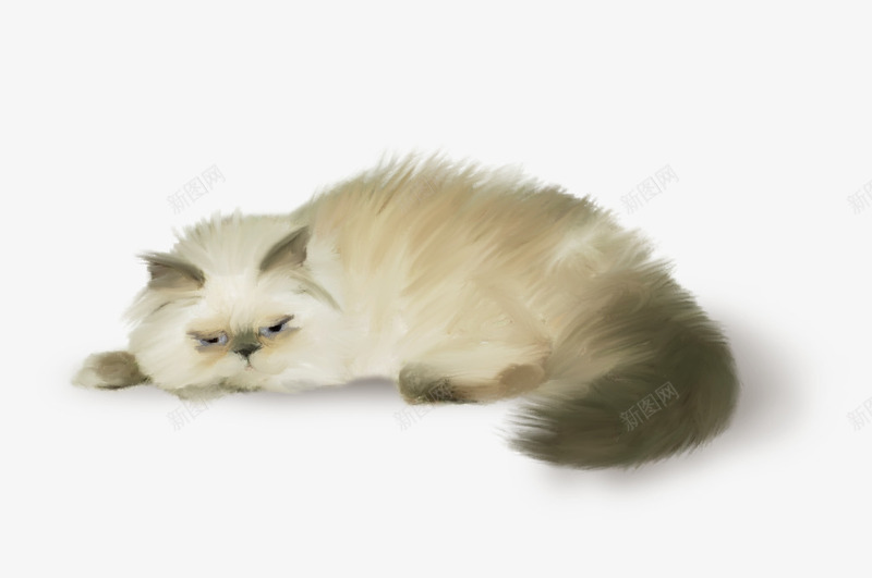 白色加菲猫png免抠素材_新图网 https://ixintu.com 加菲猫 宠物 懒猫 白色