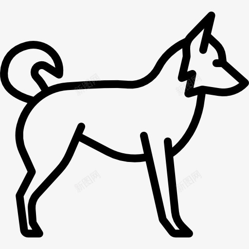边境牧羊犬图标png_新图网 https://ixintu.com 动物 品种 宠物 狗