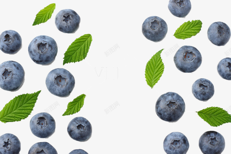 水果蓝莓绿叶png免抠素材_新图网 https://ixintu.com 免扣 水果 绿叶 蓝莓