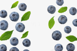 水果蓝莓绿叶素材