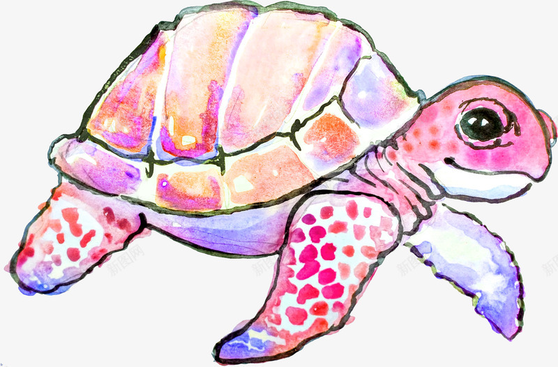 手绘粉色海龟png免抠素材_新图网 https://ixintu.com 唯美 手绘 水墨画 水彩画 水粉画 海龟 粉色 艺术 装饰图案