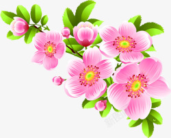 粉色花朵温馨植物素材