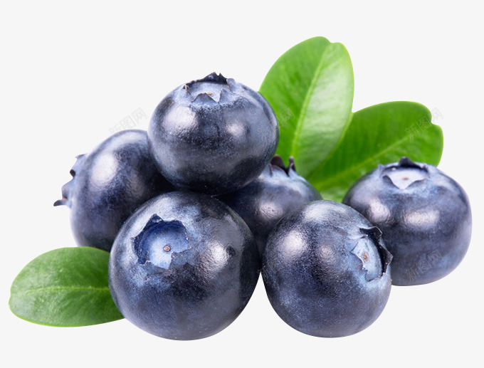 摄影新鲜的蓝莓png免抠素材_新图网 https://ixintu.com 摄影 新鲜