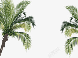 绿色仰视椰树植物素材