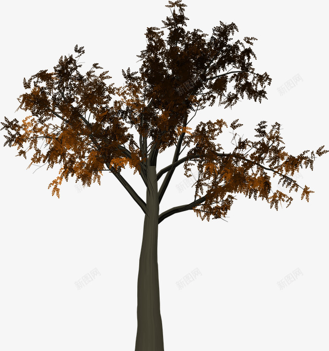 树植物分支结构png免抠素材_新图网 https://ixintu.com 分支结构 树 植物