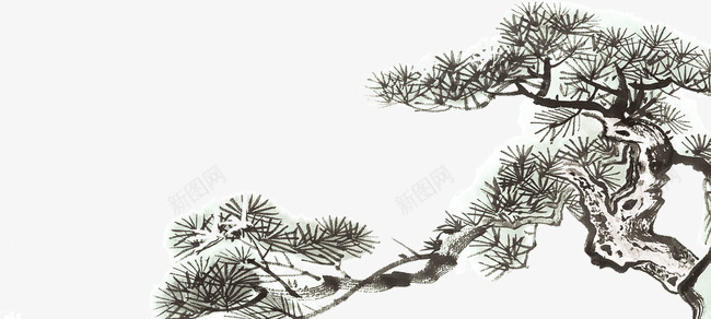 山崖上的松树png免抠素材_新图网 https://ixintu.com 松树 树木 植物